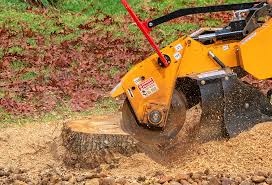 Best Lawn Grading and Leveling  in National Park, NJ