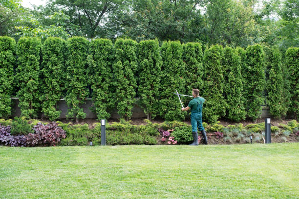 Best Hazardous Tree Removal  in National Park, NJ