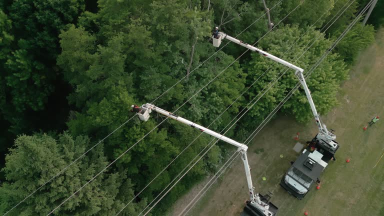 Best Seasonal Cleanup (Spring/Fall)  in National Park, NJ